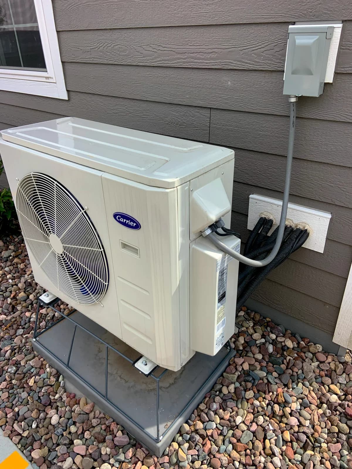 A compact Carrier residential heat pump on a low stand beside house siding, with its service connections visible.